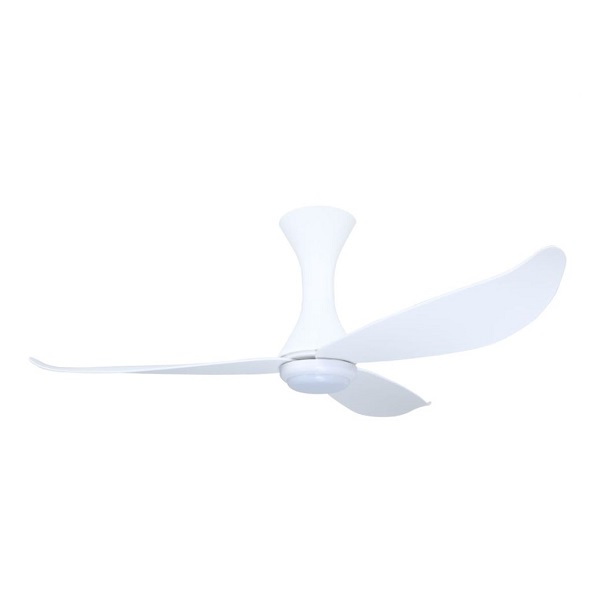 PO Eco Alba01